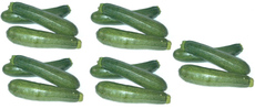 Zucchini-5x3.jpg